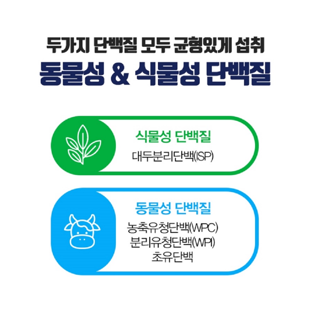 분리유청단백질 농축단백질 저분자단백질 면역글로불린 90정 2병 : 현 가든