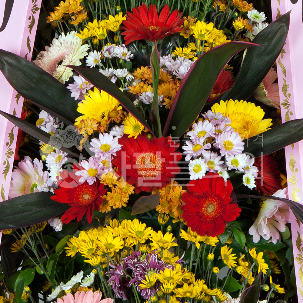 개업 결혼식 전국꽃배달 축하화환 3단 알뜰형 : 사팔플라워