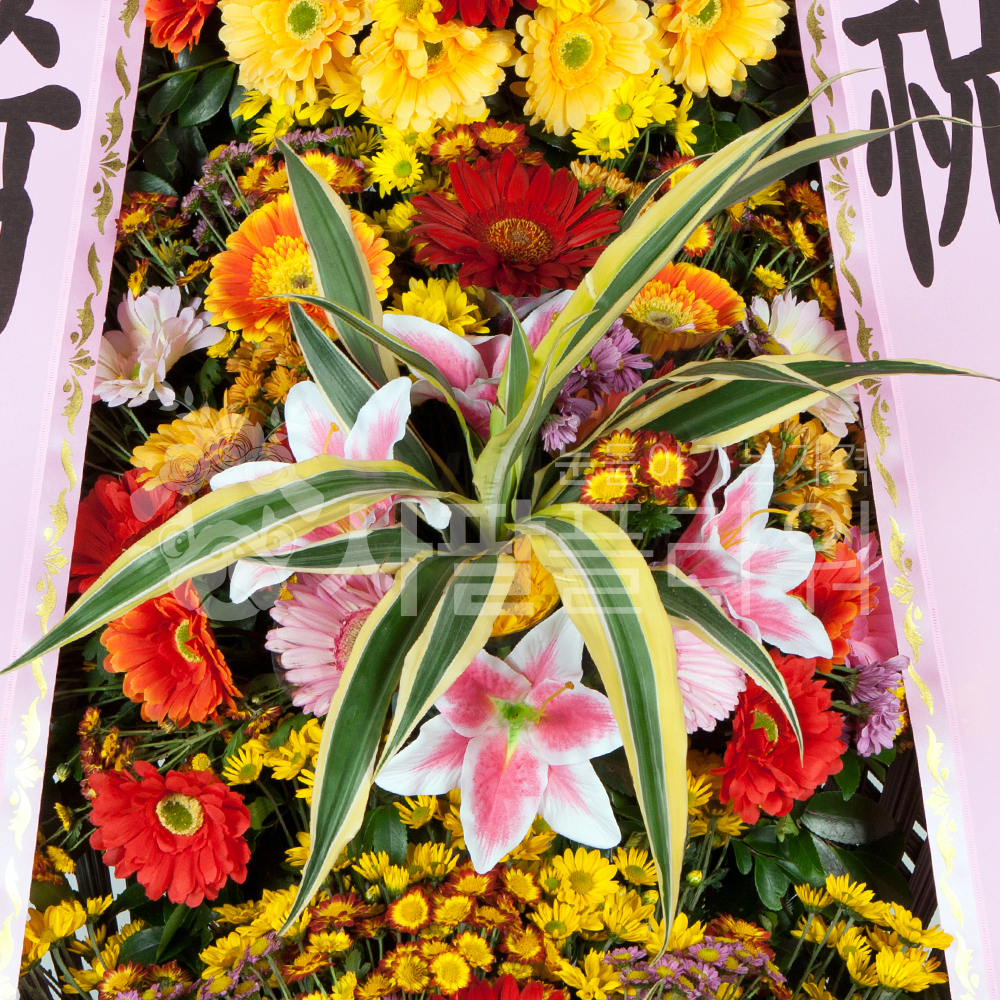 개업 결혼식 전국꽃배달 축하화환 3단 고급형 : 사팔플라워