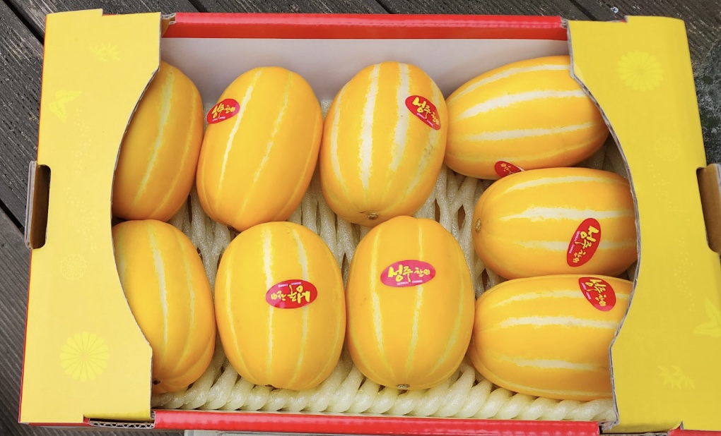 성주 산지직송 당도선별 고당도참외 가정용 선물용 정품참외 10kg : 머슴네표고농장