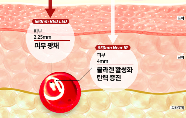 핸드케어 + 스킨케어 뷰티디바이스 셀리젠LED핸드케어 + 세럼 포함 : 비타민엘이디 스토어