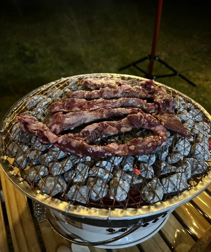 맥반석 구이용 돌 자갈 굴림 화분돌 조약돌 원예용 삼겹살 직화 구이 불판 20mm 1kg : 엘와이컴퍼니