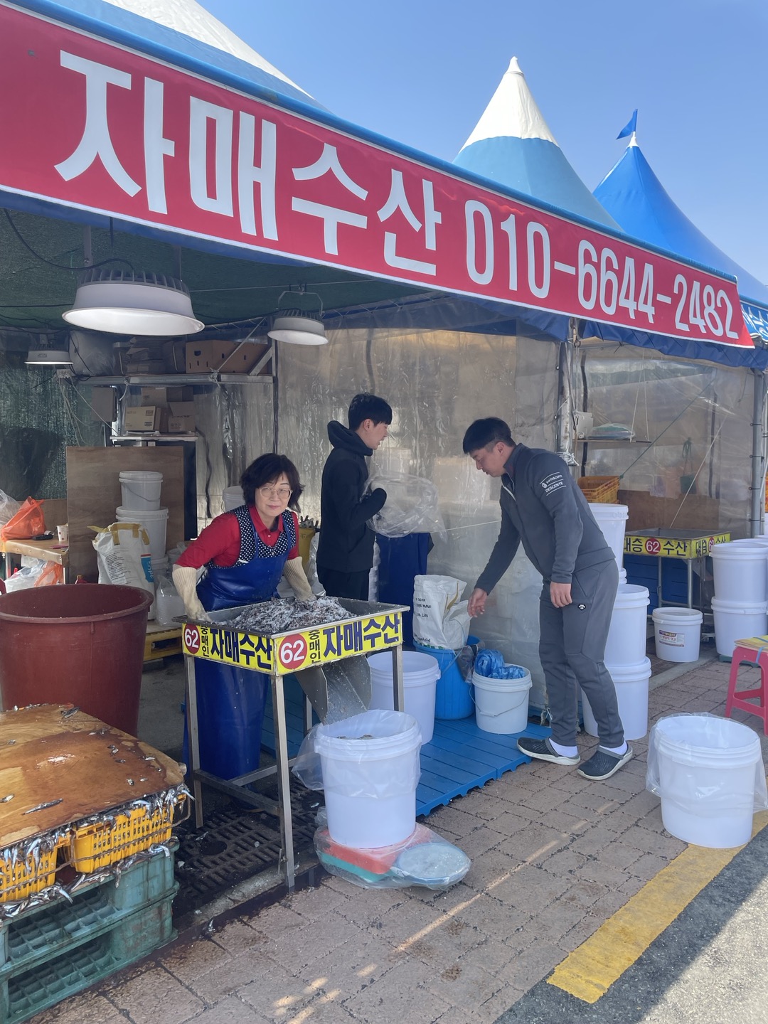 25년 멸치 젓갈 햇멸치 기장 멸치젓 햇젓갈 김장용 15kg 20kg 30kg : 기장자매수산