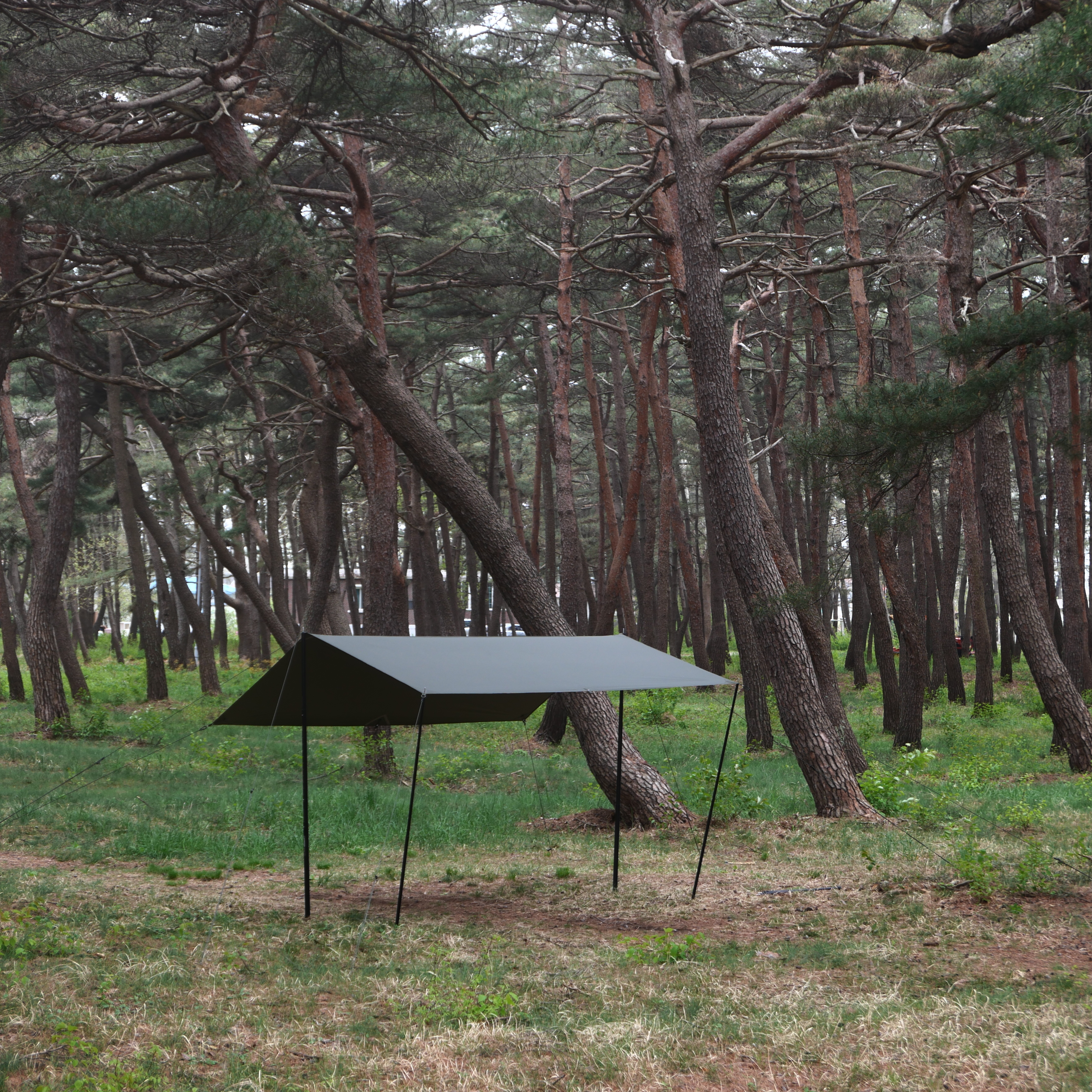 [힙노타이즈] CHILLIN RECTA 350 TARP 칠린 렉타350 올리브피그먼트 타프 : 힙노타이즈247