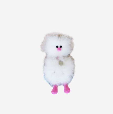 모지