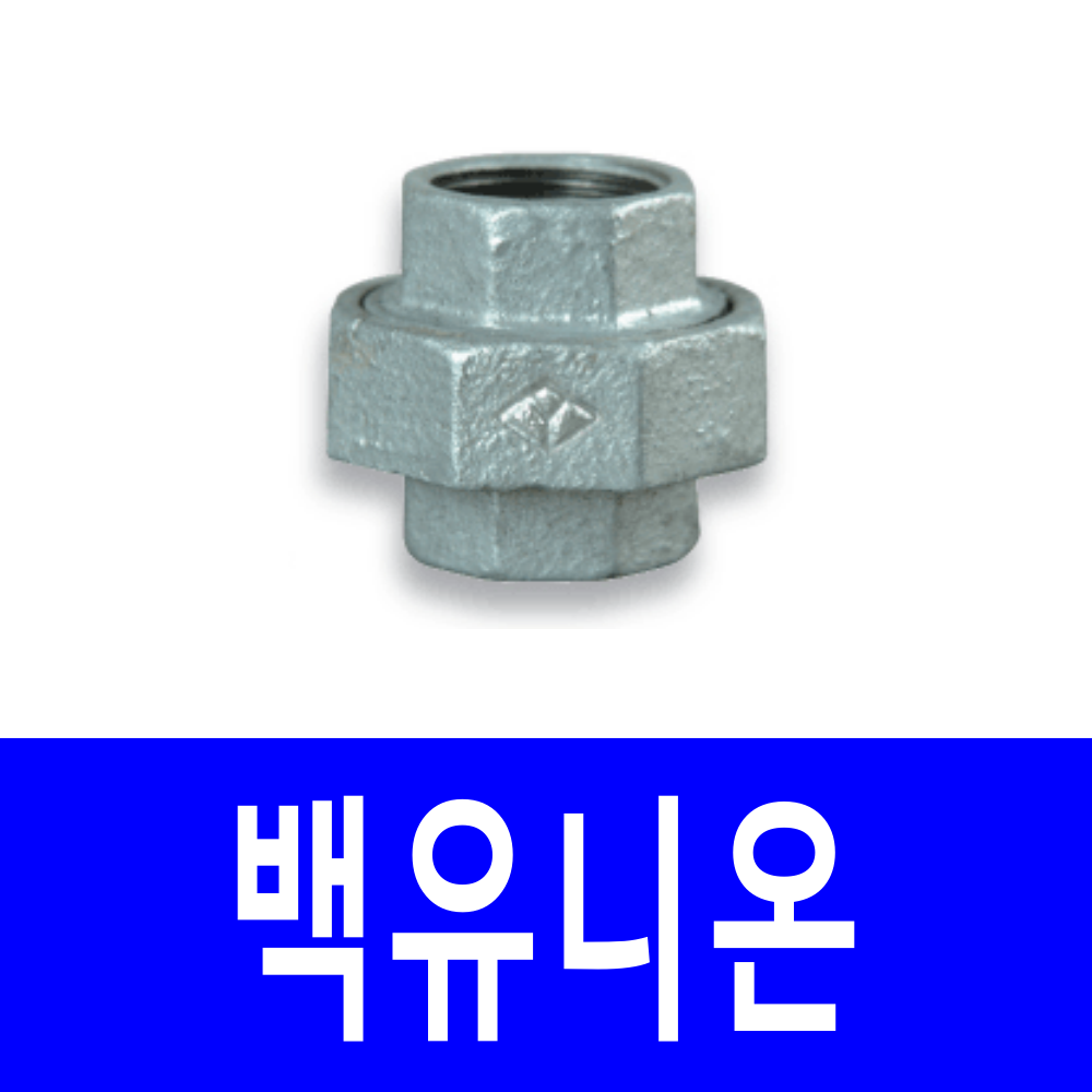 백유니온 철유니온 수도배관 파이프 배관 백 부속 : 광전산업