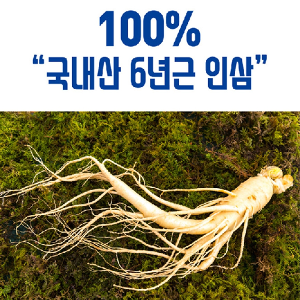 대동고려삼 6년근 인삼 농축액 100% 240g 국내산 진세노사이드 33mg 면역력 피로 : 프레쉬21