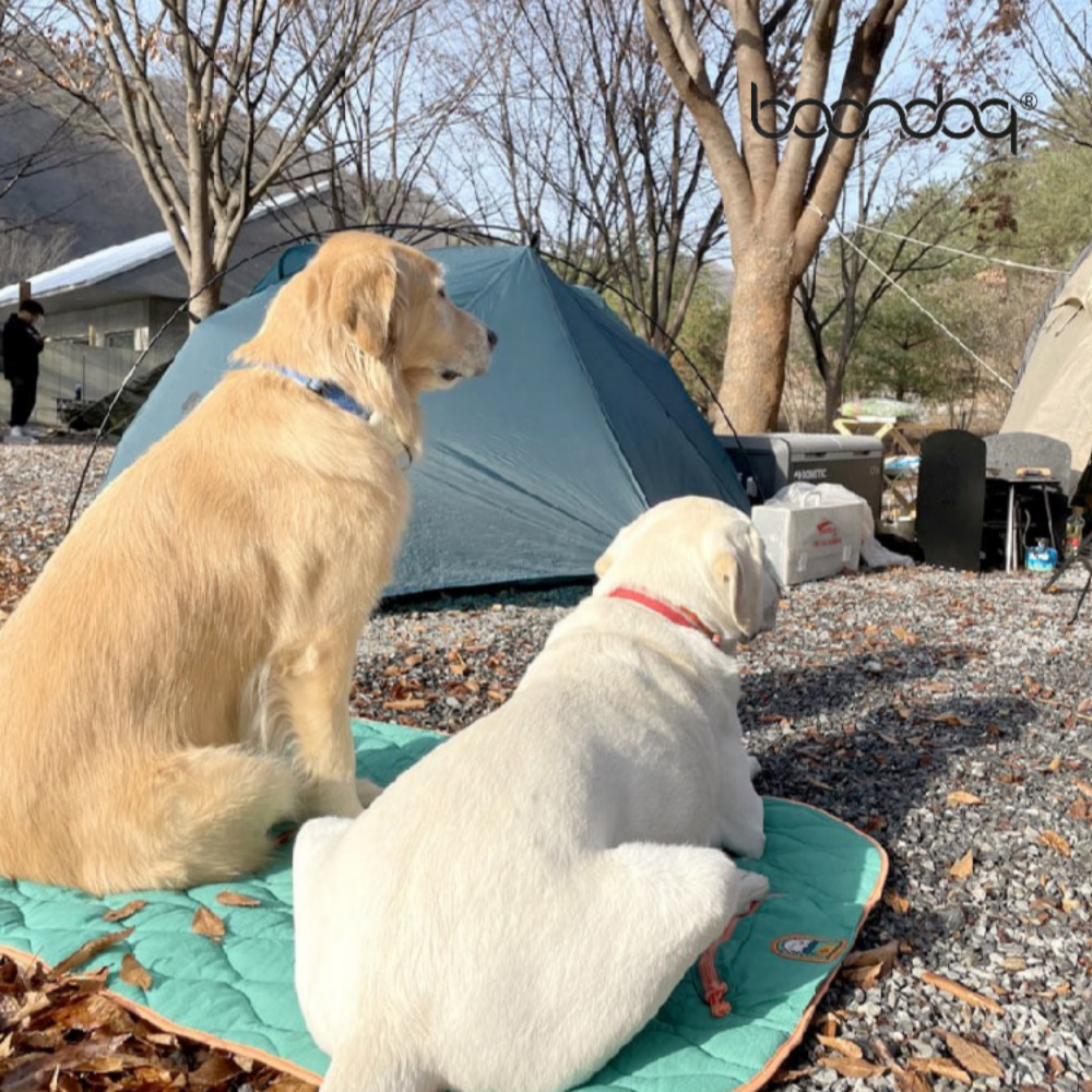 분독 boondog 반려견전용 아웃도어매트 포레스트그린 방수기능 : 개냥놀이터