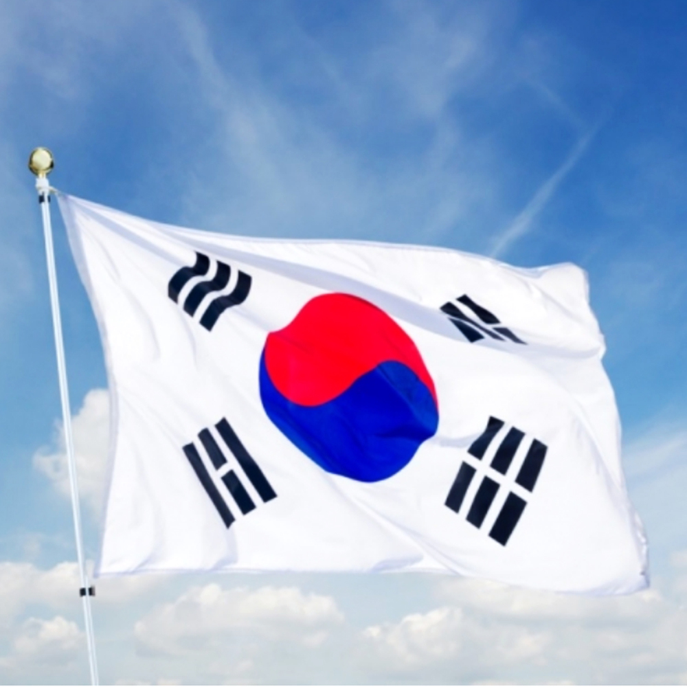 90x135 태극기 게양용 대형 응원용 : 대만족스토어