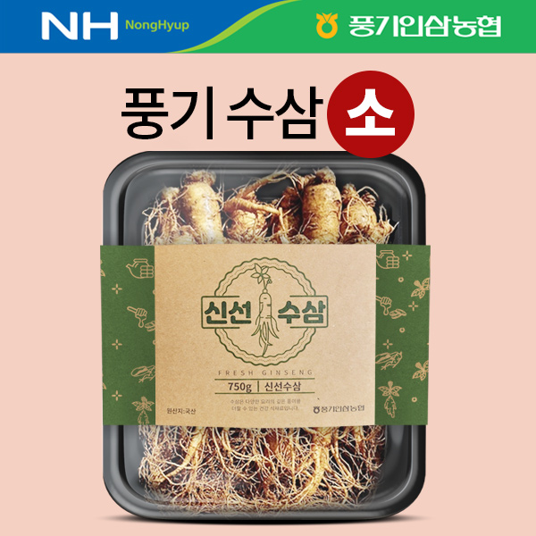 [풍기인삼농협] 풍기 햇수삼 (소) 750g 11-12뿌리 : 풍기인삼농협 황풍정 직영몰