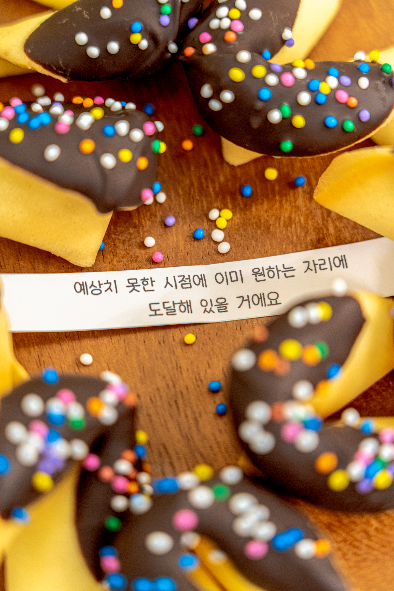 수제 포춘쿠키제작 포츈쿠키 독서명언 럭키드로우 위클래스 : 브레드하이픈