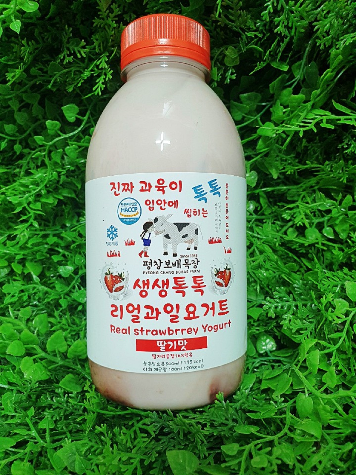 평창보배목장 생생톡톡 과일 요거트 마시는 요구르트 딸기 : 에잇팩토리