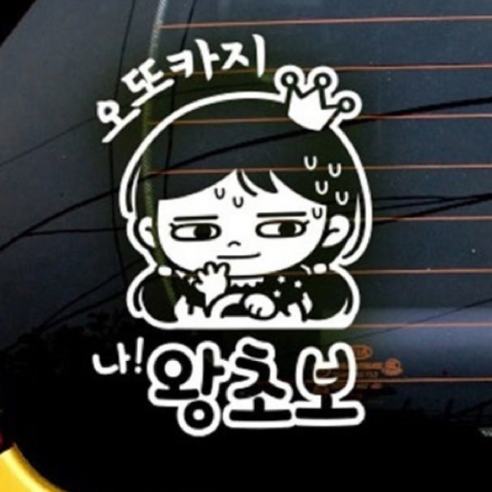 오또카지 나왕초보 화이트스티커 초보운전스티커 : 사라리스토어