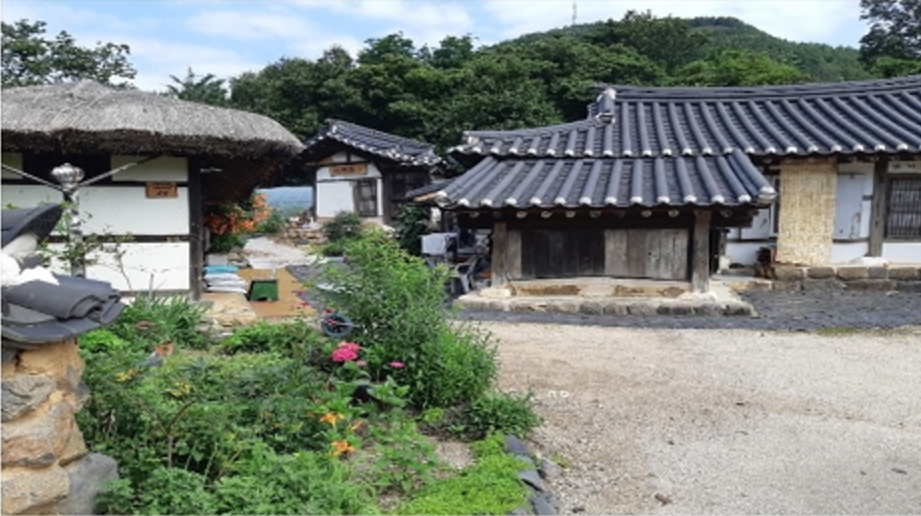 [당일]고성 라벤더+동주 촬영지 왕곡마을 : 국내여행전문 두레관광