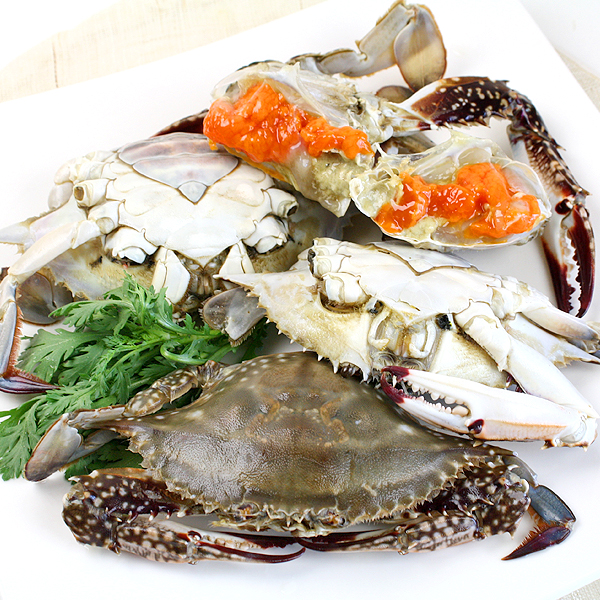 바다온담 연평도 제철 냉동 몽당암꽃게2kg(8~12미내외) : 피쉬세일