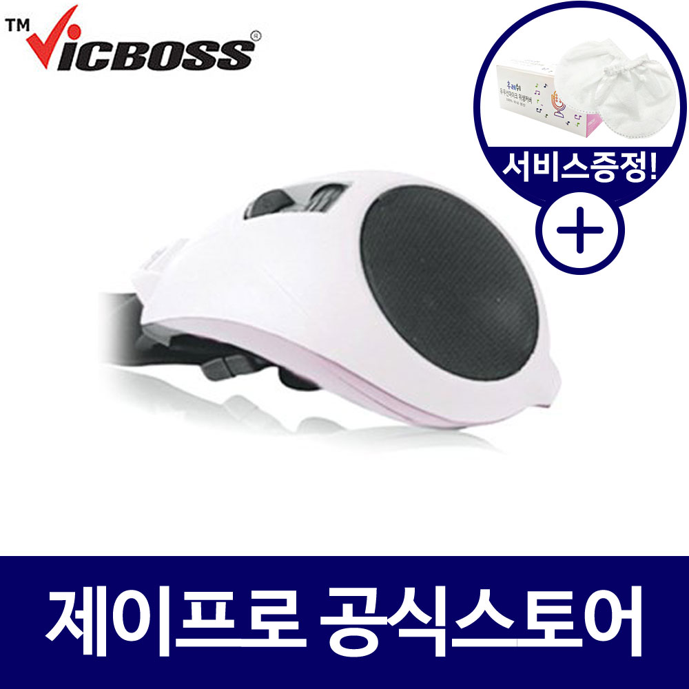 빅보스 V-809N 30W 휴대용앰프 충전식 가이드 강사용 수업용 강의용 앰프 : 주식회사 제이프로