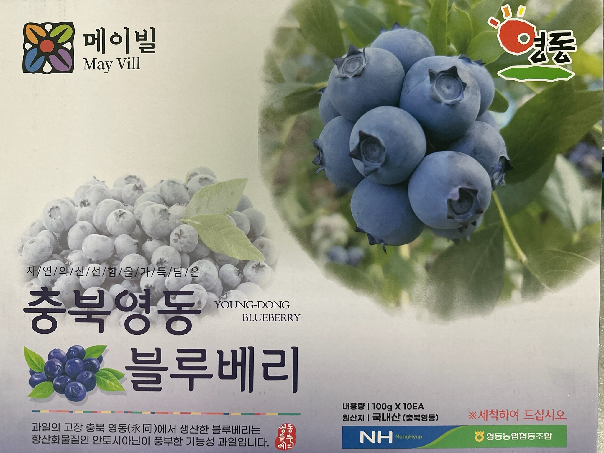[영동농협] 메이빌 블루베리 1kg (100g x 10EA, 14mm) : 충북농협온마켓