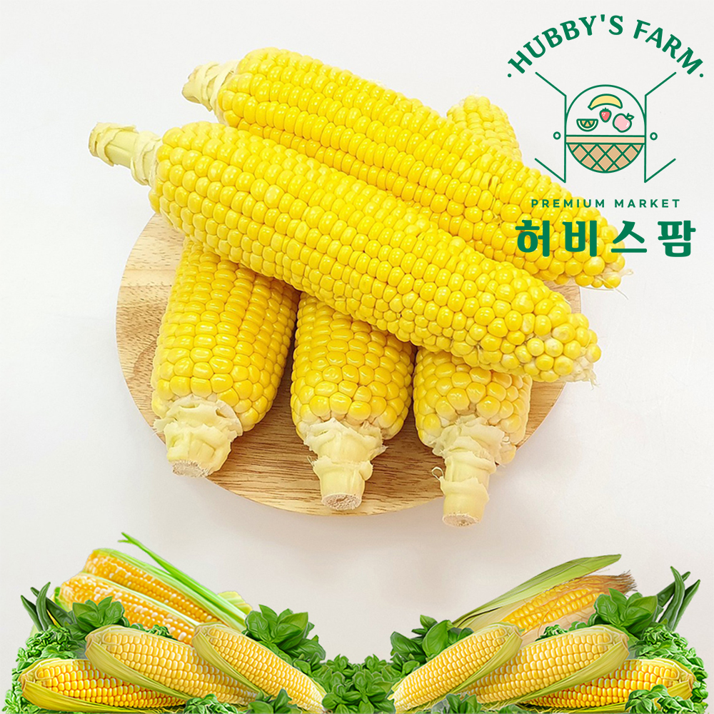 국내산 제주 달콤한 산지직송 생으로먹는 초당 옥수수 10개 20개 : 허비스팜