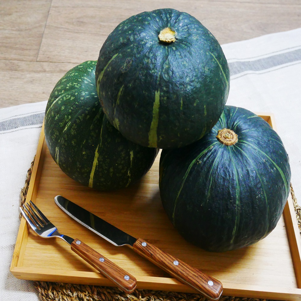 뉴질랜드 못난이 단호박 5kg 10kg : 금성농산