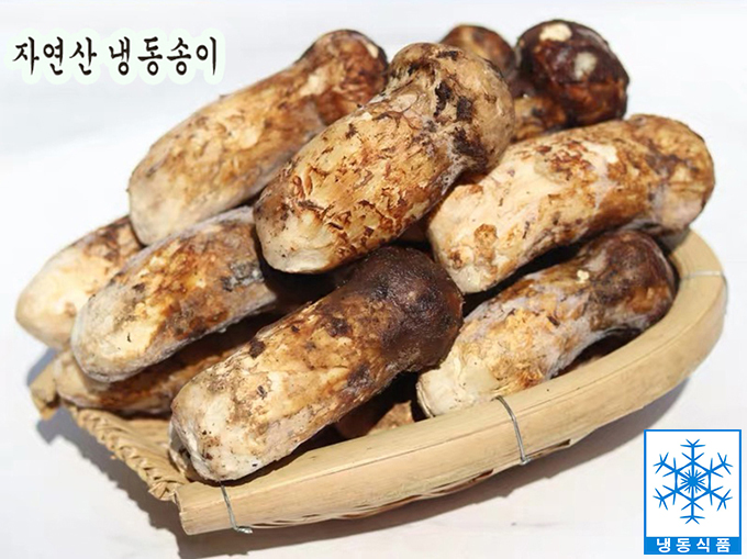 품질좋은 자연산 송이버섯 냉동송이 백두산 티벳 : ig농산