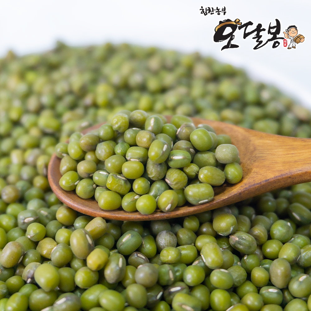 24년산 햇 수입 녹두 녹두콩 통녹두 10kg, 1개 : 힘찬농부오달봉
