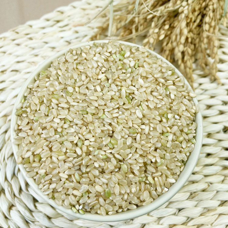 24년산 햇 국산 현미 현미쌀 500g, 1개 : 힘찬농부오달봉