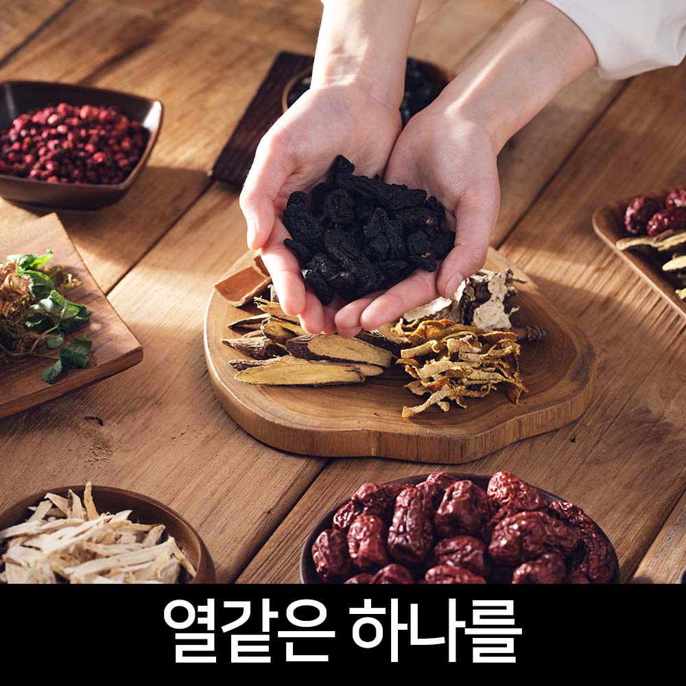 힘가네 장어 진액 민물 장어즙 엑기스 1박스(100ml X 10개입) : 힘가네