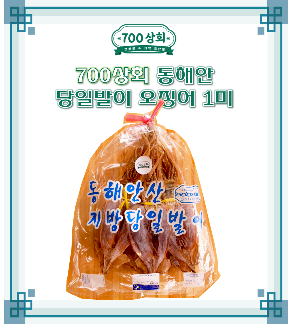 【700상회】 동해안 당일발이 오징어 10미 : 700상회