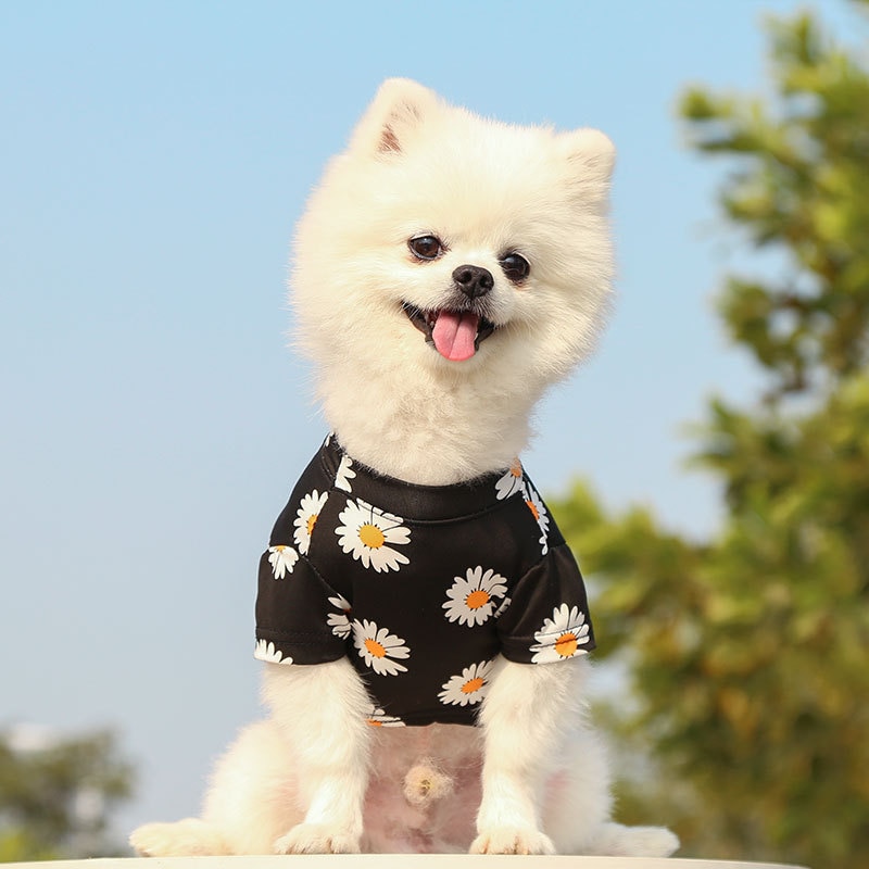 강아지쿨조끼 여름  반려동물 강아지 티셔츠 조끼 봄 스타일 여행 프린트 반팔 소형 중형견 의류 여름옷강아지옷 : 샵오오