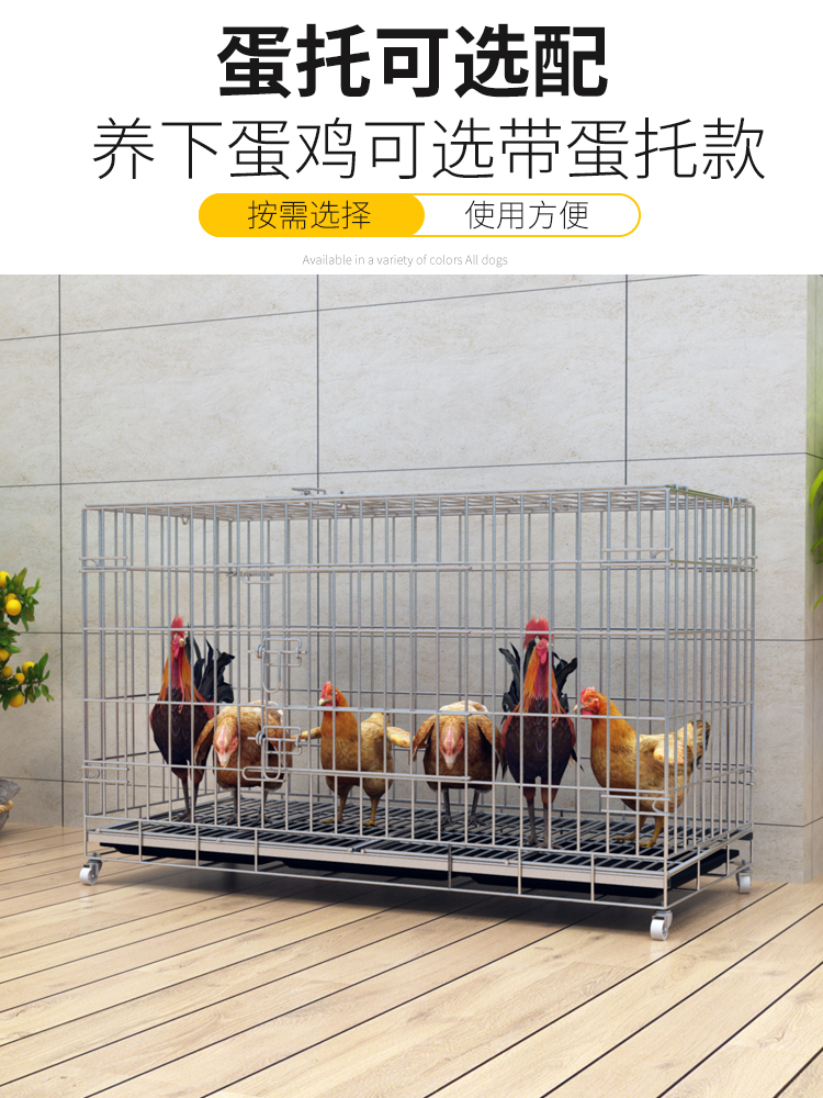 접이식 가정용 대형 닭장 닭 오리 거위 케이지 사육장 : Yoon studio