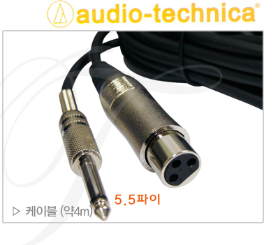 노래방마이크 가성비 강단마이크 학교 강의실 강연 연설용 마이크 : 푸드비타민