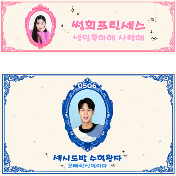D2823 남아 생일 현수막 / 왕자 공주 현수막 여아 생일 포토존 꾸미기 1회 수정 핑크 가로형 소 : 파티붕붕