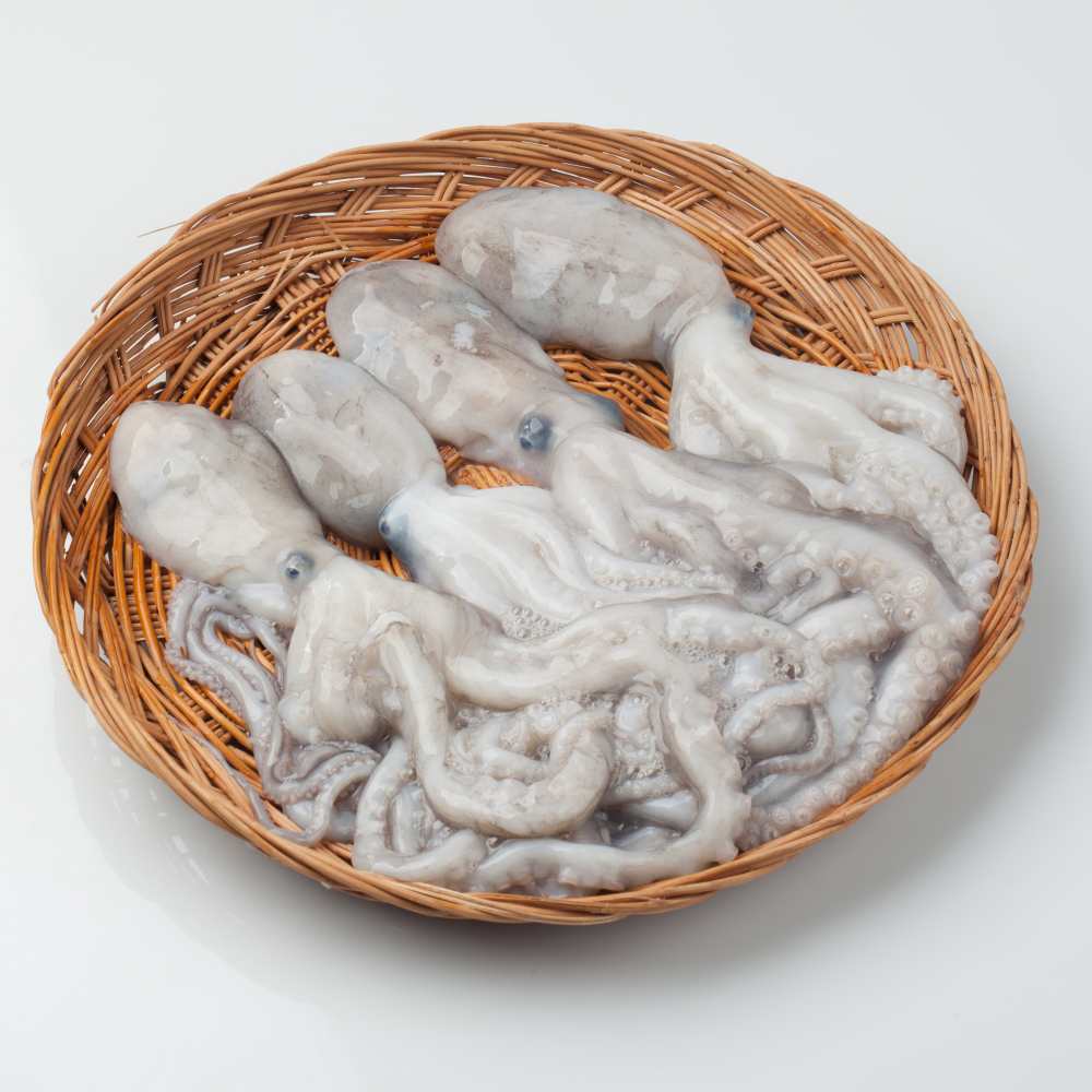 서해안 낙지 뻘낙지 볶음 연포탕 원물 1kg (6미내외) 식당용 업소용 냉동 : 시엘리 마켓