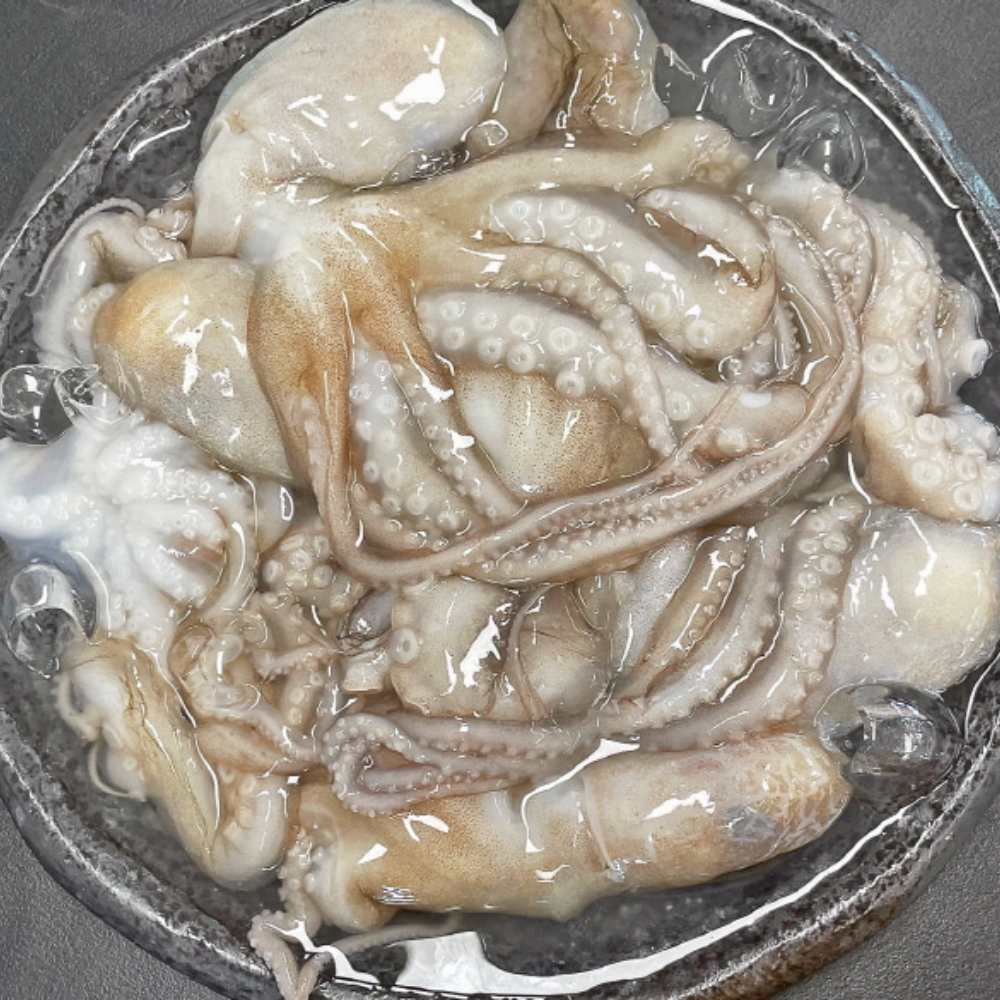 서해안 낙지 뻘낙지 볶음 연포탕 원물 1kg (6미내외) 식당용 업소용 냉동 : 시엘리 마켓