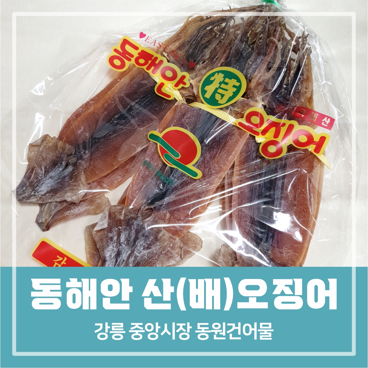 동해안 산(배)오징어 - 살아있는 오징어로 건조한 부드러운 마른오징어 10미 - 강릉중앙시장 동원건어물 : 동원건어물