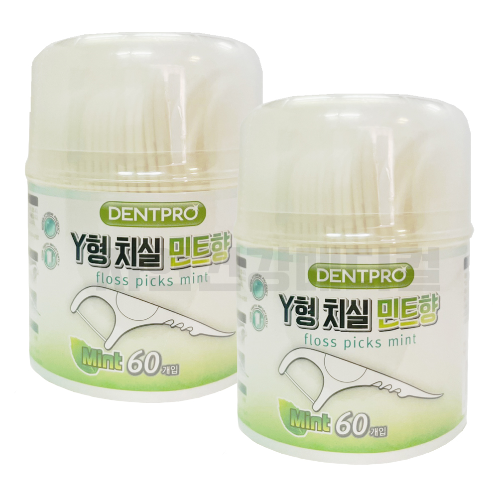 덴트프로 Y형 60P 2개 민트치실 케이스형 손잡이 : 바른건강메디
