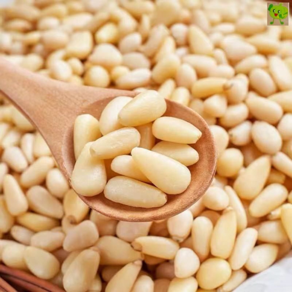 잣 중국산잣 수입잣 500g : 츄츄직구