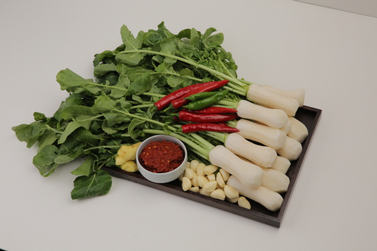 이순미 총각김치 (3kg, 5kg) : 이순미 마더스푸드