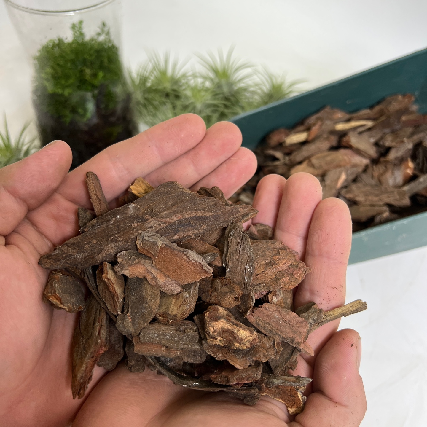 마오리 가든 바크 나무껍질 나무조각 바닥재 멀칭 조경 소포장 지퍼백 2L 대성식물 : 대성식물