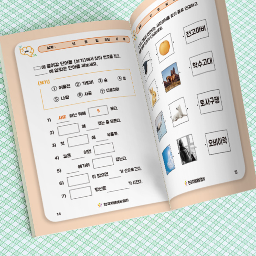 인지요2 부모님 어르신 노인 인지능력향상 교육용 교재 학습지 워크북 : 한국치매예방협회