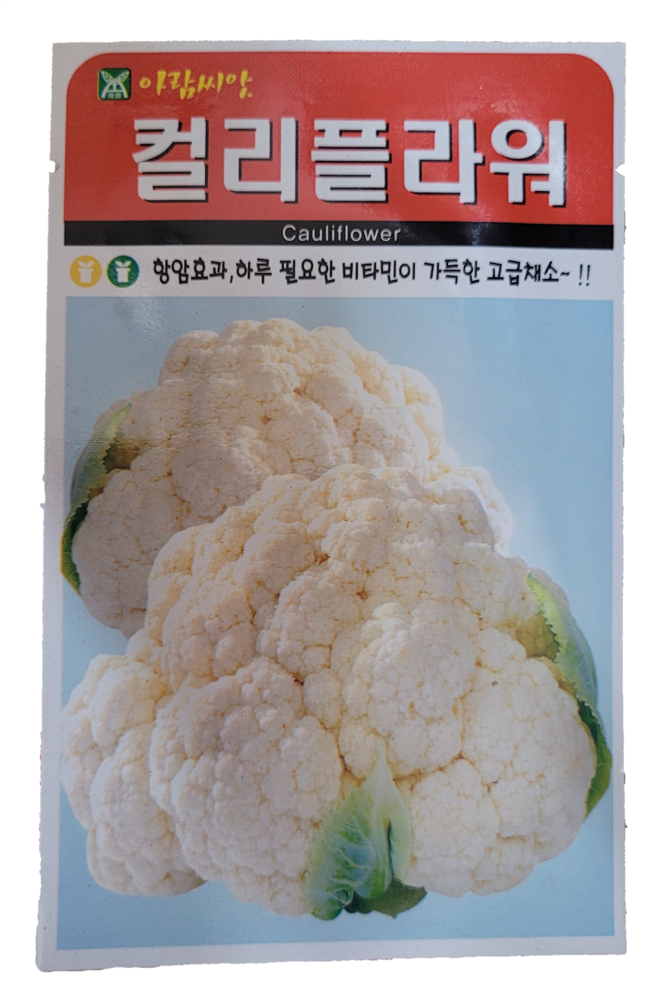 2023년 컬리플라워씨앗 50립 콜리플라워씨앗 컬리플라워 Cauliflower 브로콜리 아람종묘 : 적린