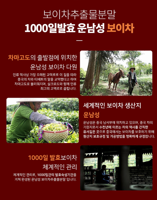 보이차추출분말 10배농축 간편한보이차정60정 폴리페놀 카테킨 갈산 아미노산 무부형제타블렛 : The all