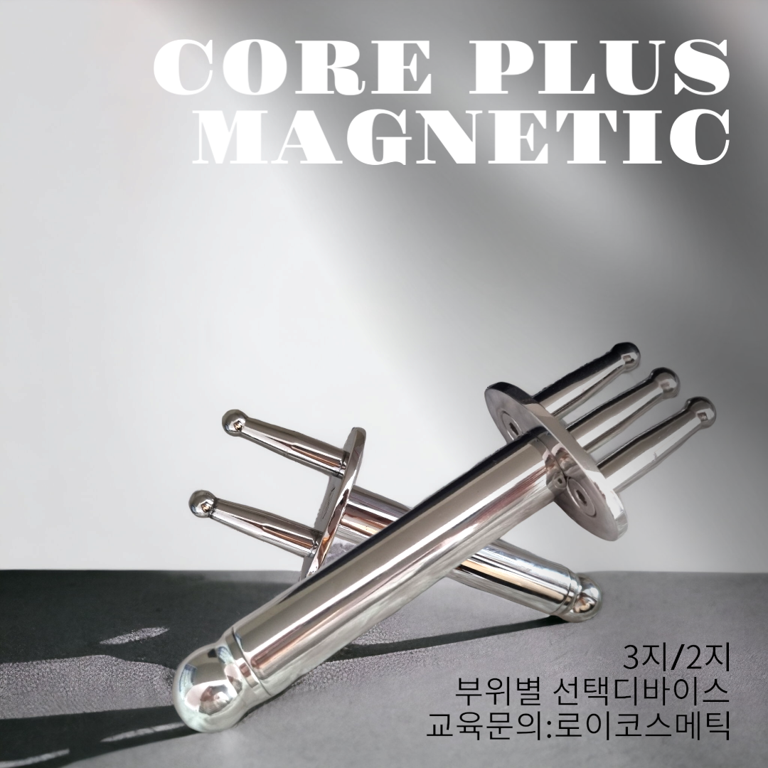 코어플러스마그네틱 : 로이세상