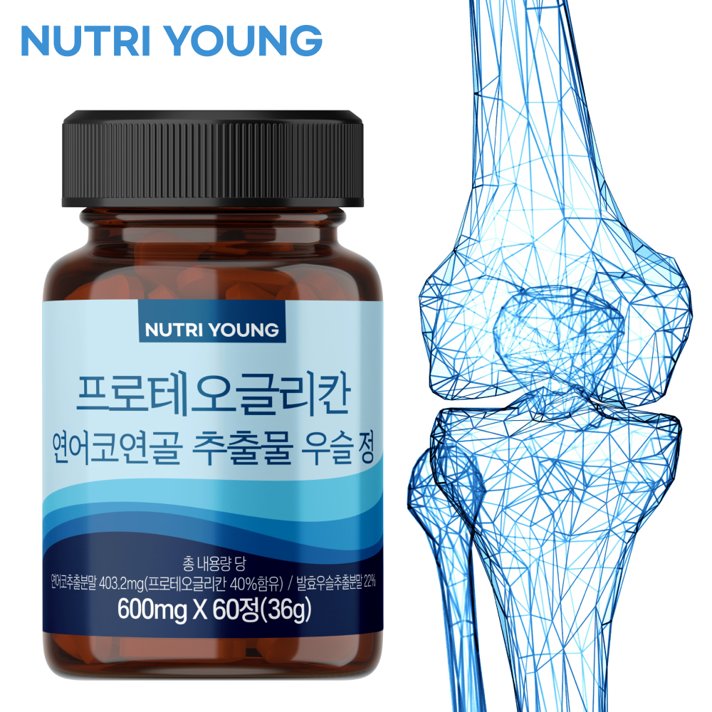 프로테오글리칸 콘도로이친 연어코연골 추출물 프리테오글리칸 구절초 우슬 600mg : 뉴트리영
