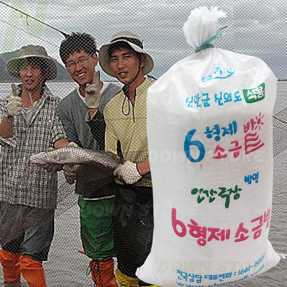 [육형제 배송] 신안 천일염 20kg / 6형제소금밭 굵은소금 햇소금 : 다운스토어