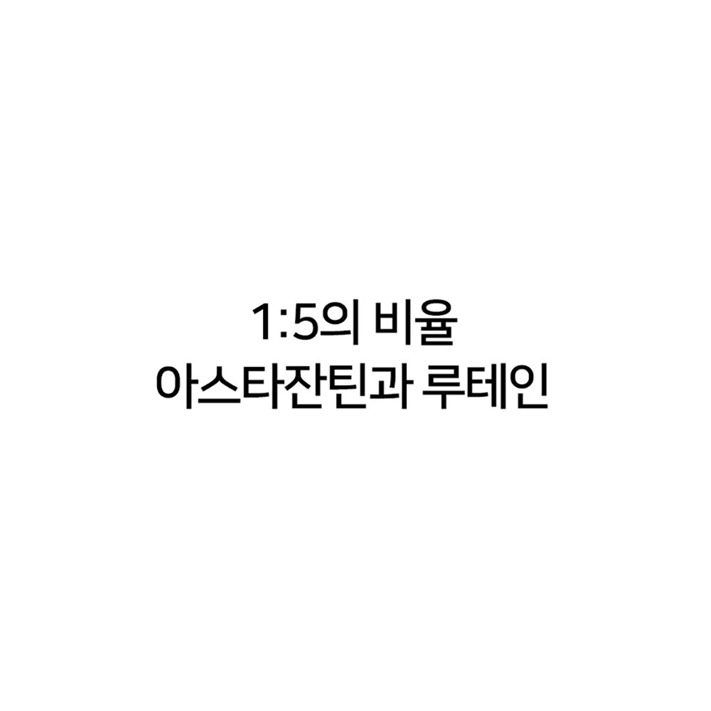 아스타잔틴 루테인 눈에 좋은 헤마토코쿠스 눈 건강 아스잔틴 영양제 약2개월분 : 올홈