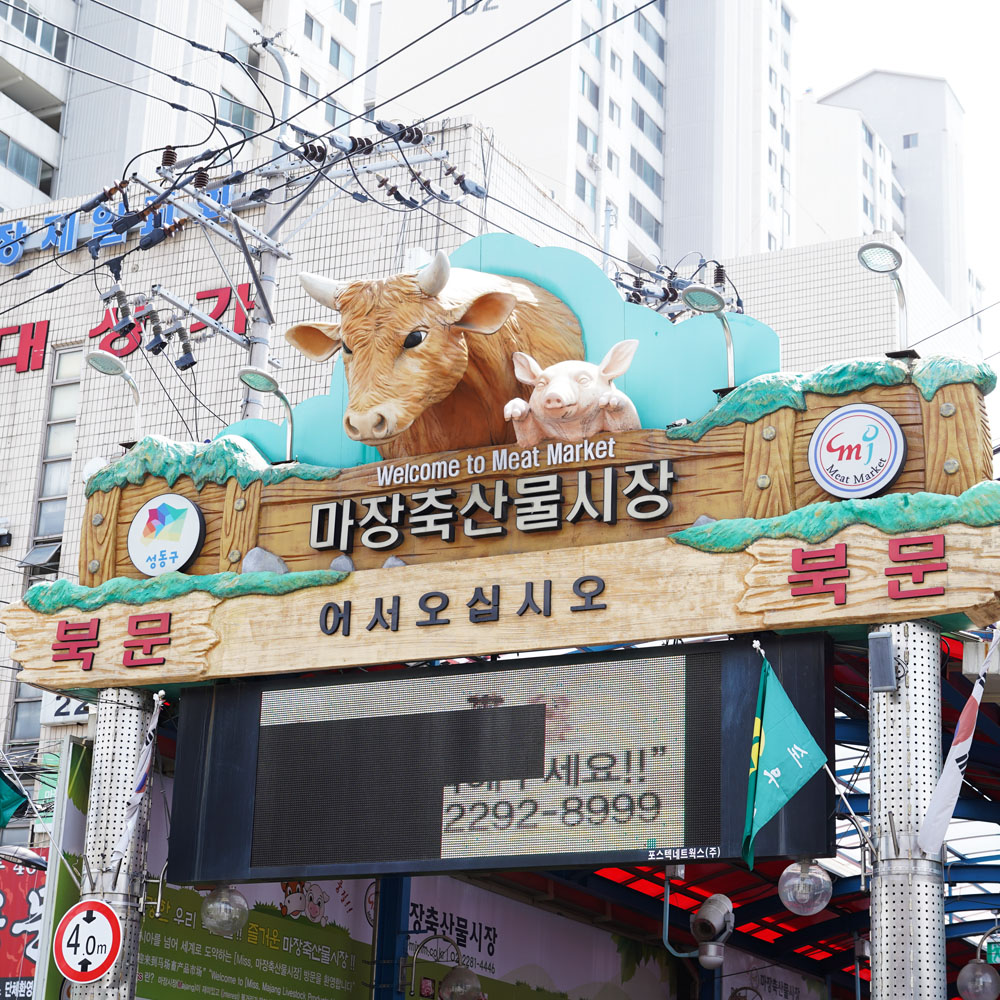 마장동 1++ 등급 투뿔 나인 한우 소고기 생고기 육회 육사시미 뭉티기 꾸리살 : 맛있는 오늘