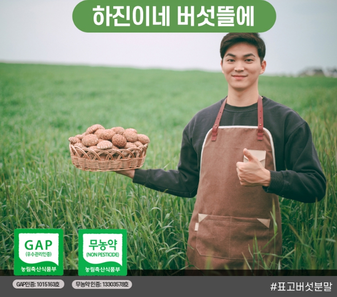 무농약 유기농 표고 버섯 가루 국내산 표고 버섯 분말 파우더 : 추천 플랫폼