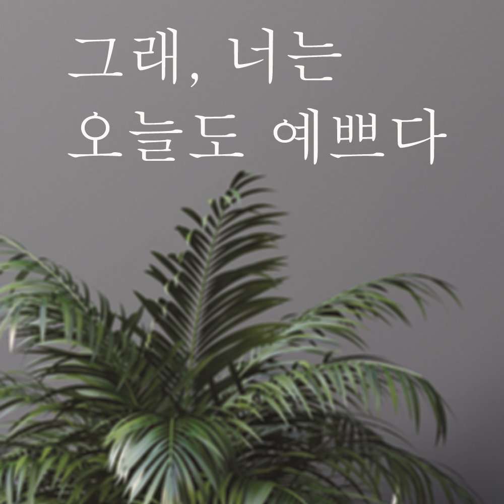 그래 너는 오늘도 예쁘다 감성 문구 글귀 현관문 벽 레터링 스티커 : 단비데코