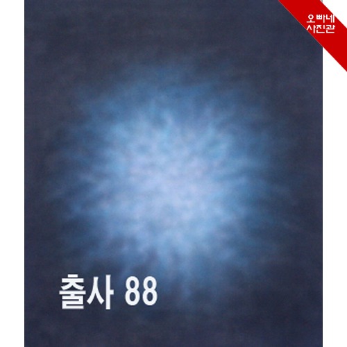 [오빠네사진관] 스튜디오배경 캔버스보카시배경 88번 인물사진배경 반려동물동반촬영 : 오빠네사진관